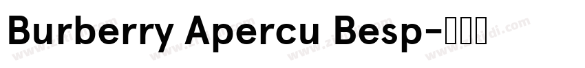 Burberry Apercu Besp字体转换